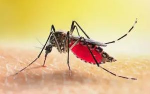 How Science is Helping Africa Fight Malaria